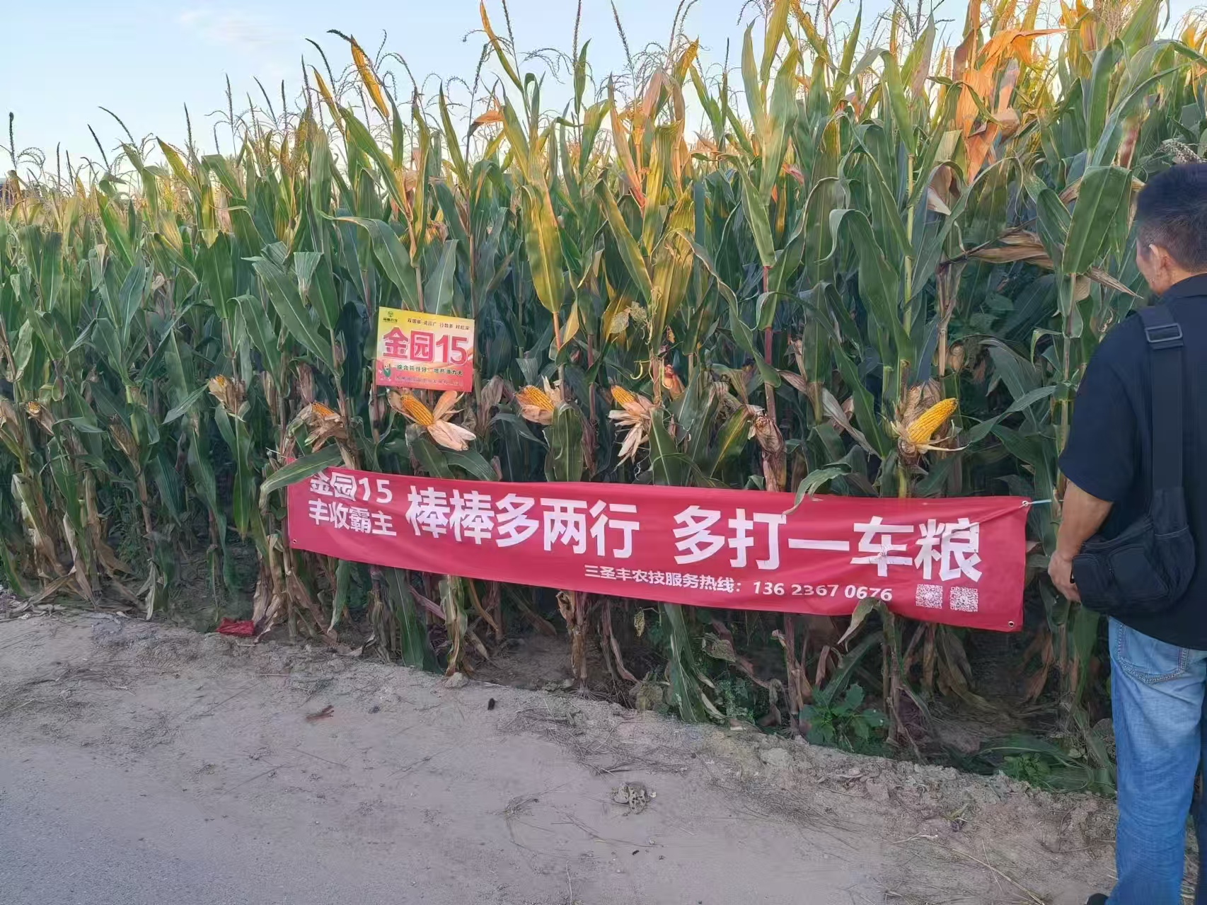 現(xiàn)場2024-9-23陽曲.jpg